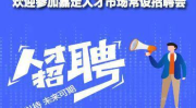 人才市场招聘,机遇与挑战并存，助力职场发展新篇章
