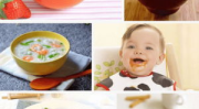 宝宝食谱,科学搭配，助力健康成长